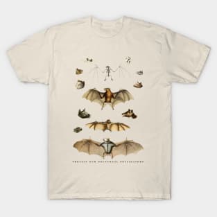 Protect our Nocturnal Pollinators Bat Lover Chiropterologist Gift T-Shirt